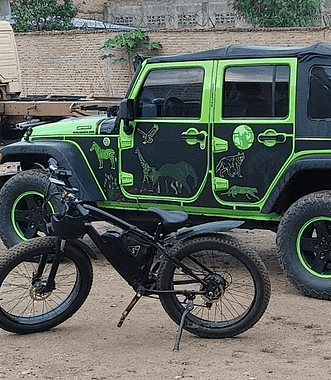Safari and e-bike tours